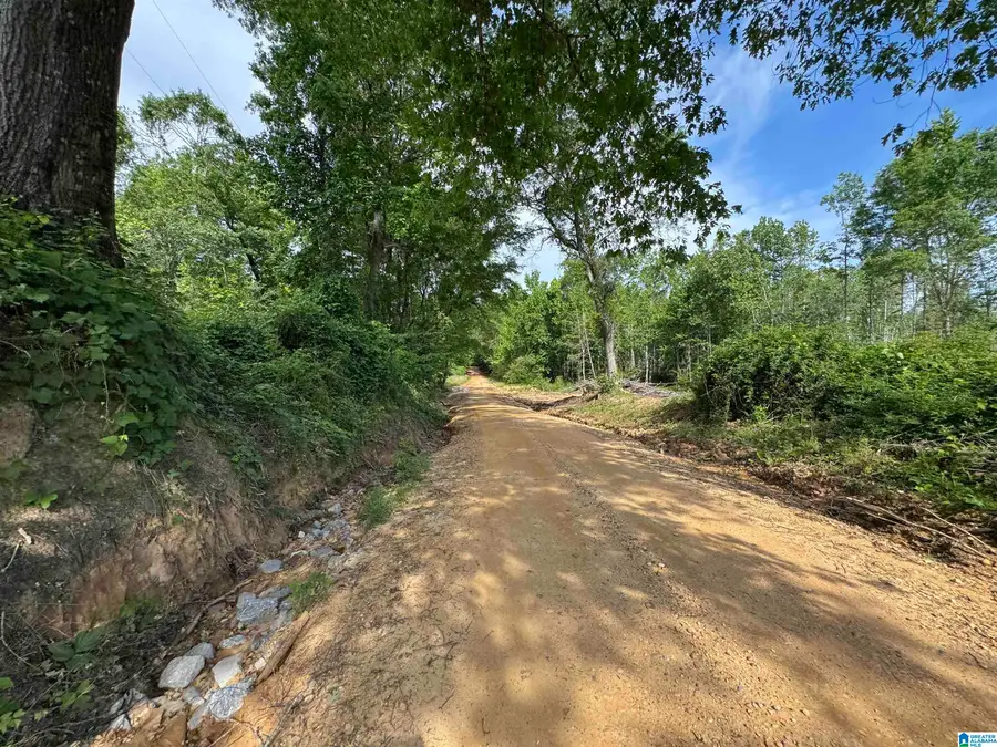 ACTIVE ROAD, Lawley, AL 36793 - #2