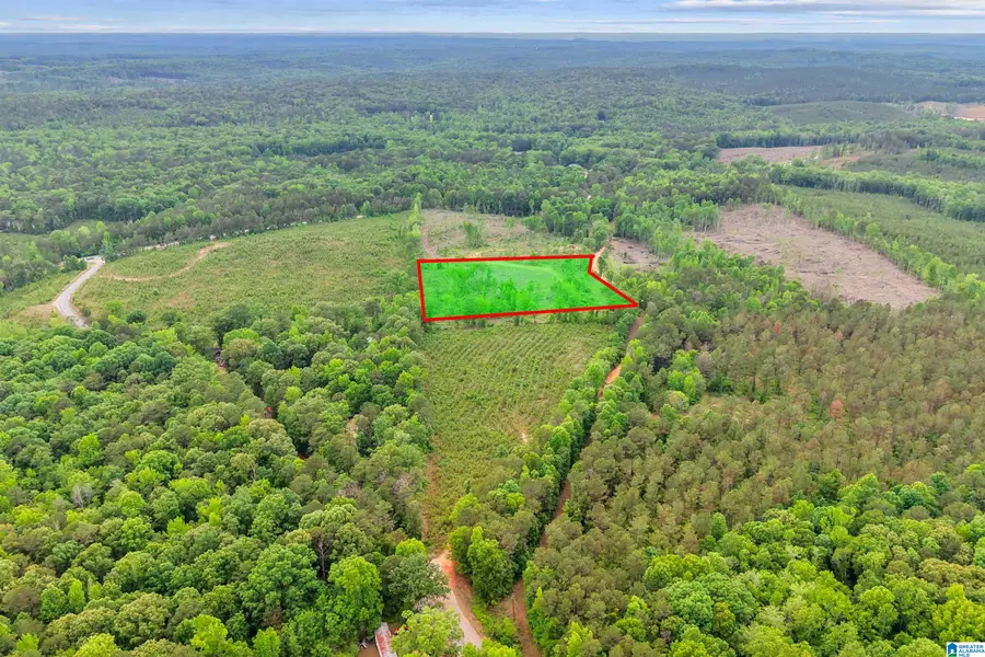 ACTIVE ROAD, Lawley, AL 36793 - #3