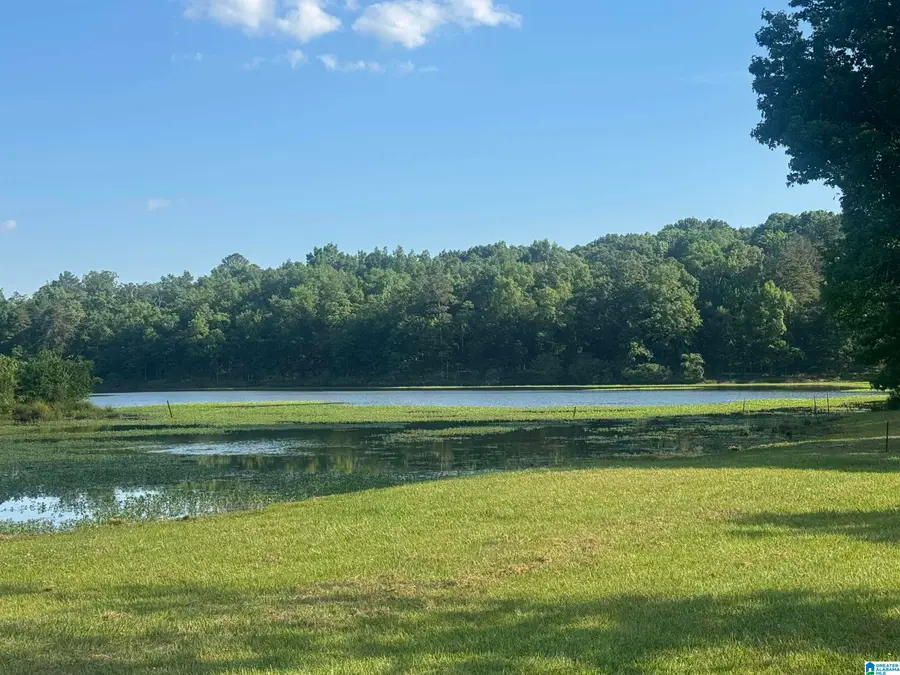1525 CHELSEA ROAD, Columbiana, AL 35051 - #3