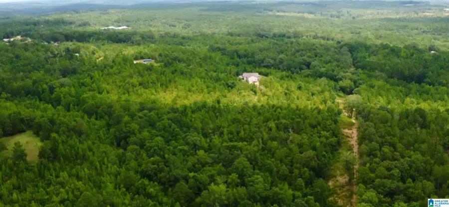1434 COUNTY ROAD 864, Wadley, AL 36276 - #3