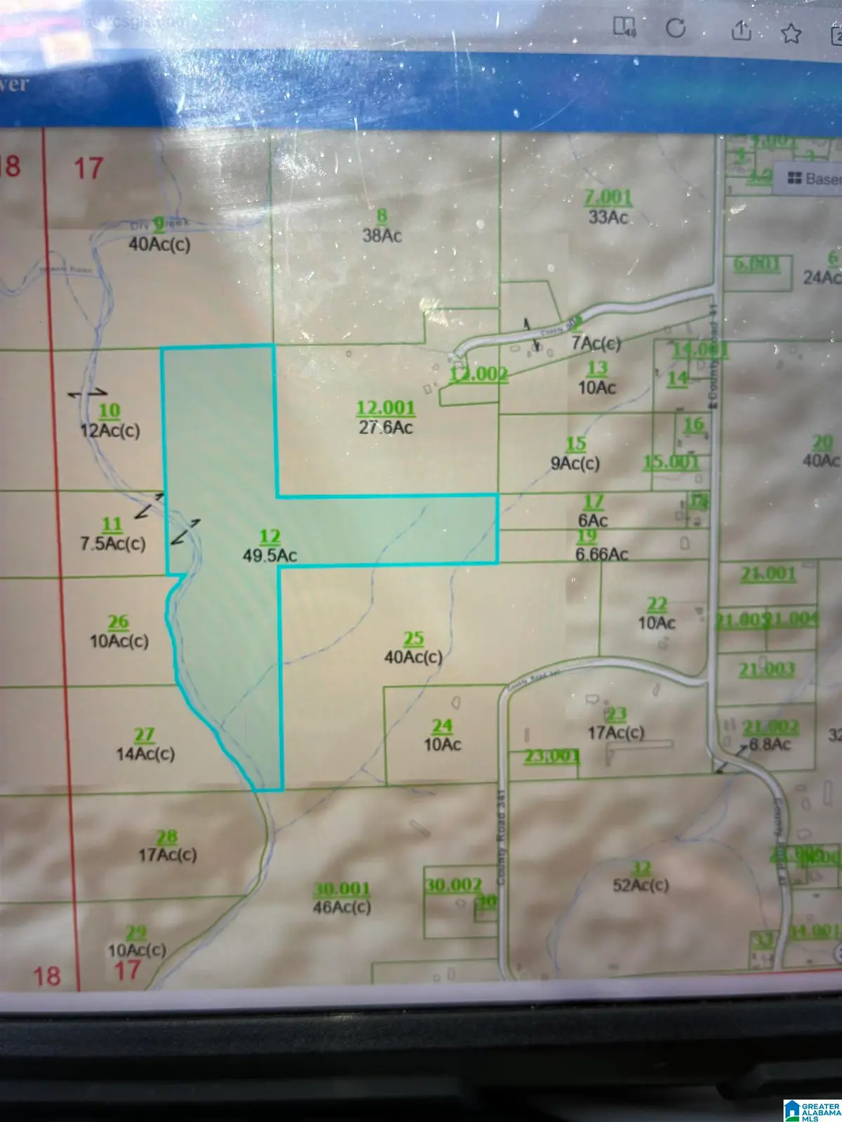 0 COUNTY ROAD 605, Section, AL 35771 - #1