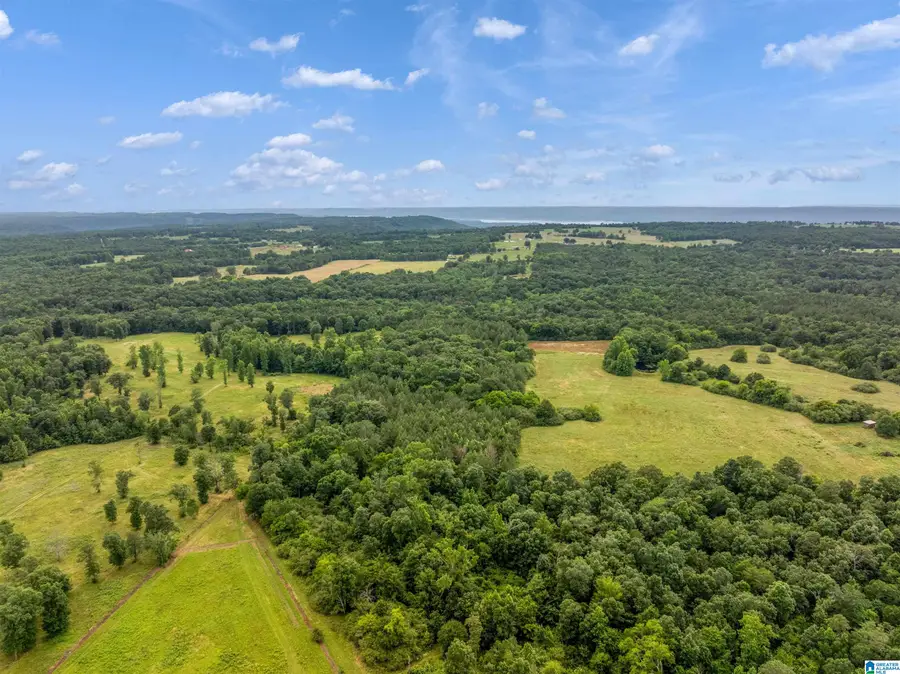 0 COUNTY ROAD 605, Section, AL 35771 - #3