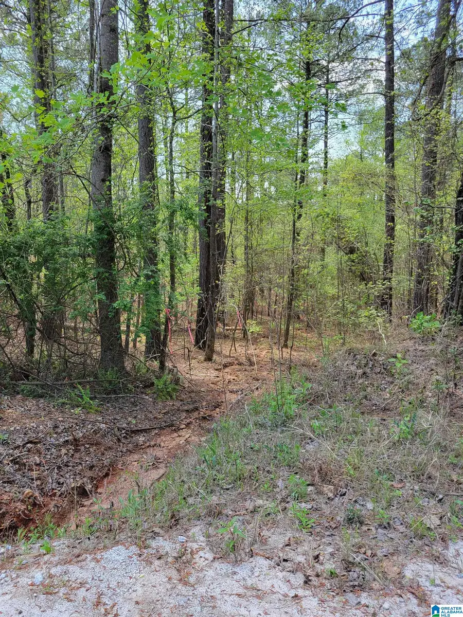 ANCHOR RIDGE, Wedowee, AL 36278 - #2