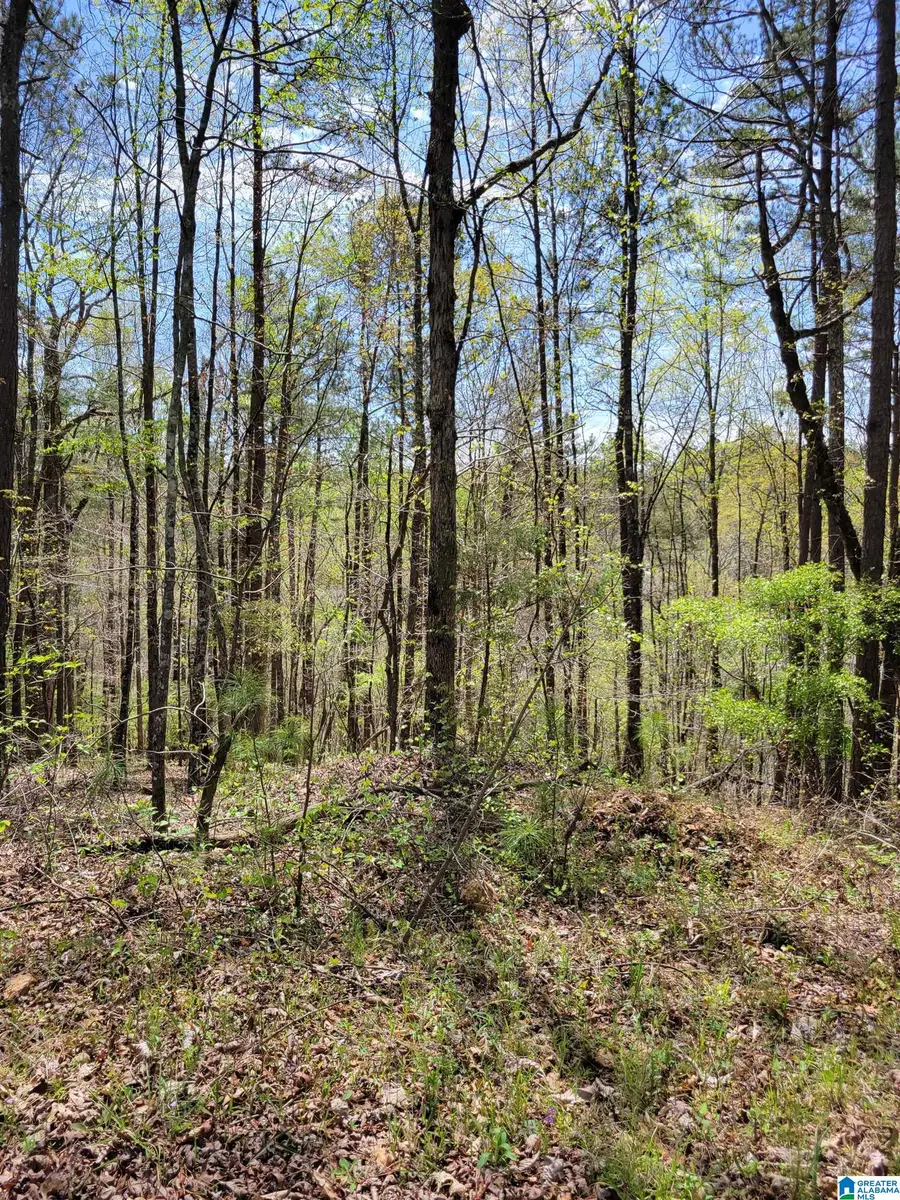 LAKEVIEW WAY, Wedowee, AL 36278 - #2
