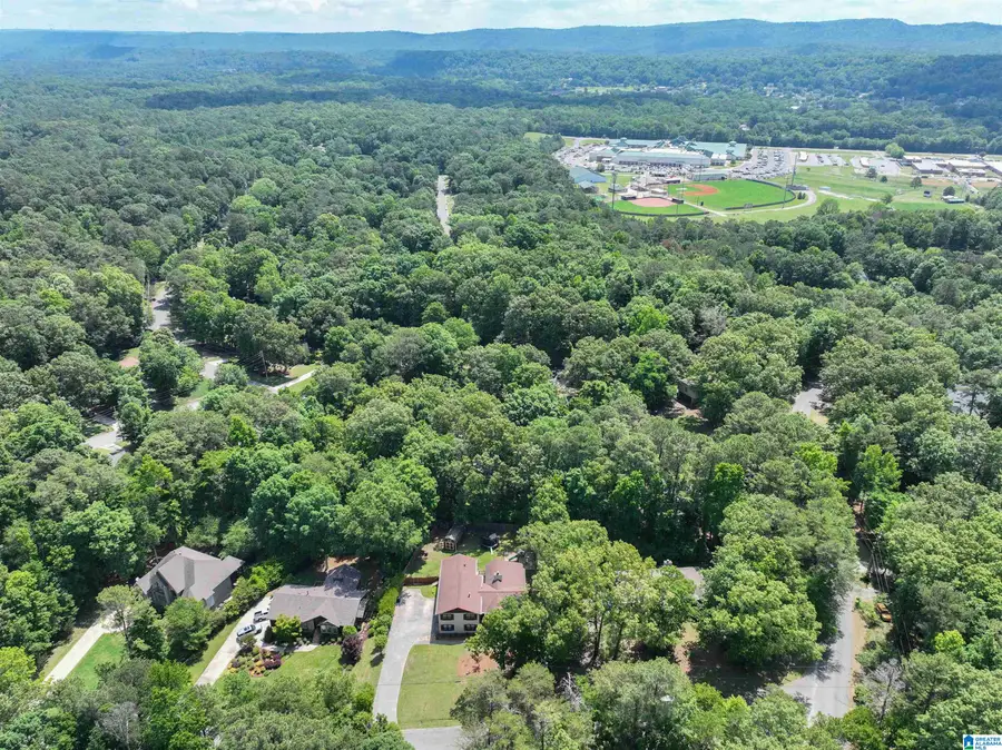 705 NEW HOPE MTN ROAD, Indian Springs Village, AL 35124 - #2