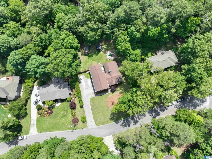 705 NEW HOPE MTN ROAD, Indian Springs Village, AL 35124 - #3