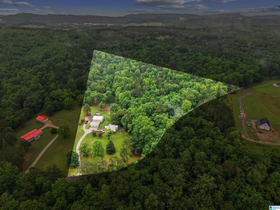 1310 OLD MILL ROAD, Blountsville, AL 35031 - #2