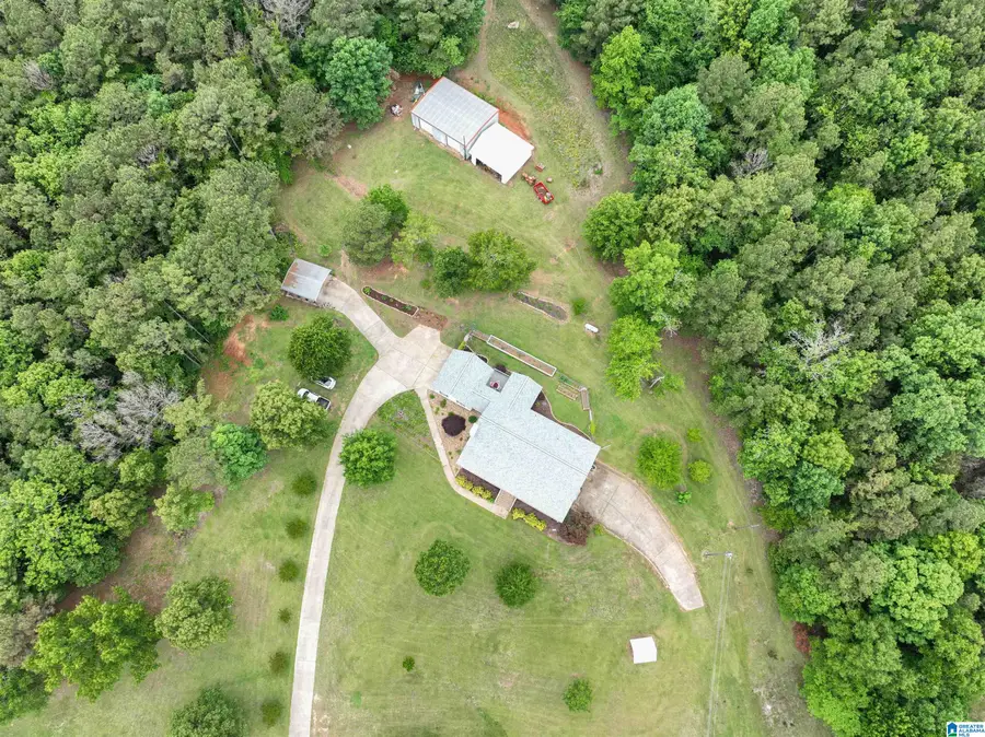 665 FISH HATCHERY LANE, Eastaboga, AL 36260 - #2