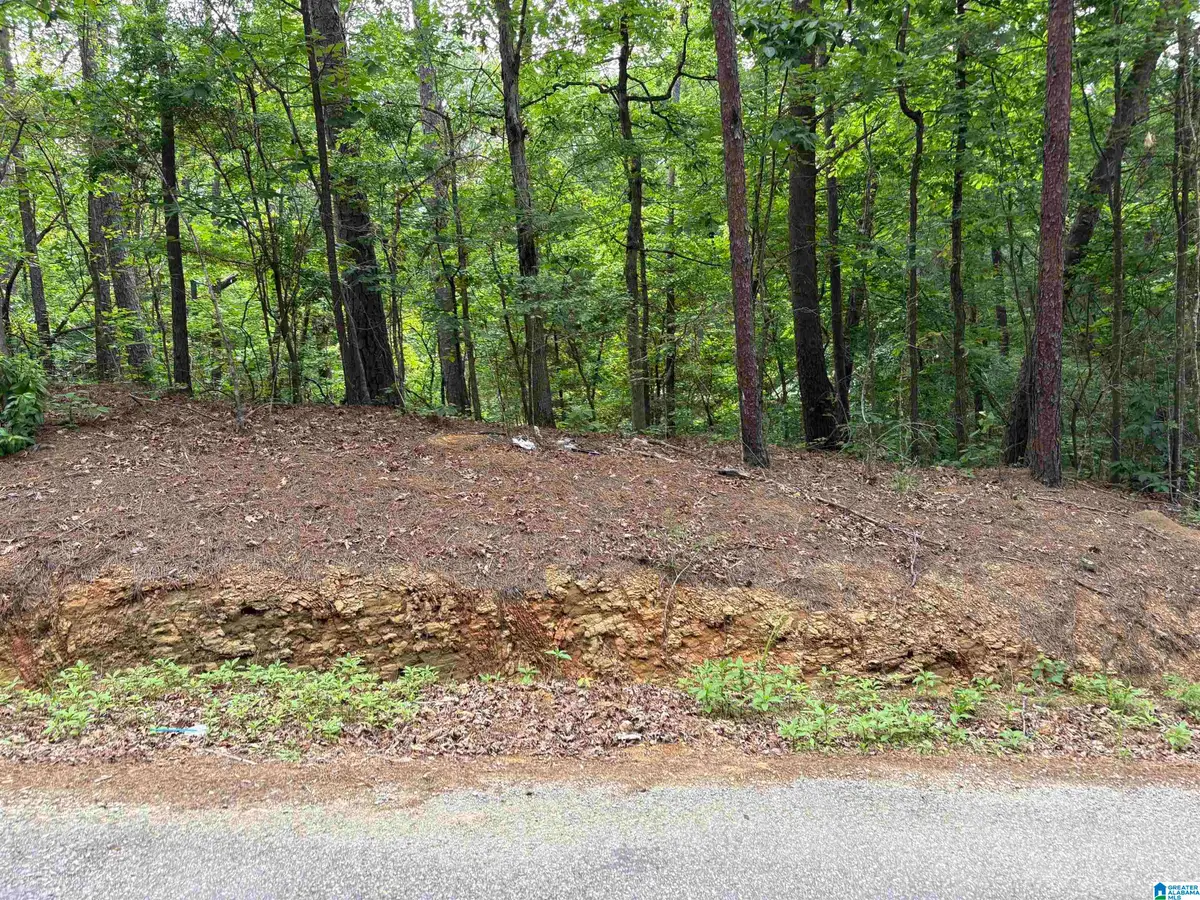 Lot 23 TEDDY DRIVE, McCalla, AL 35111 - #1