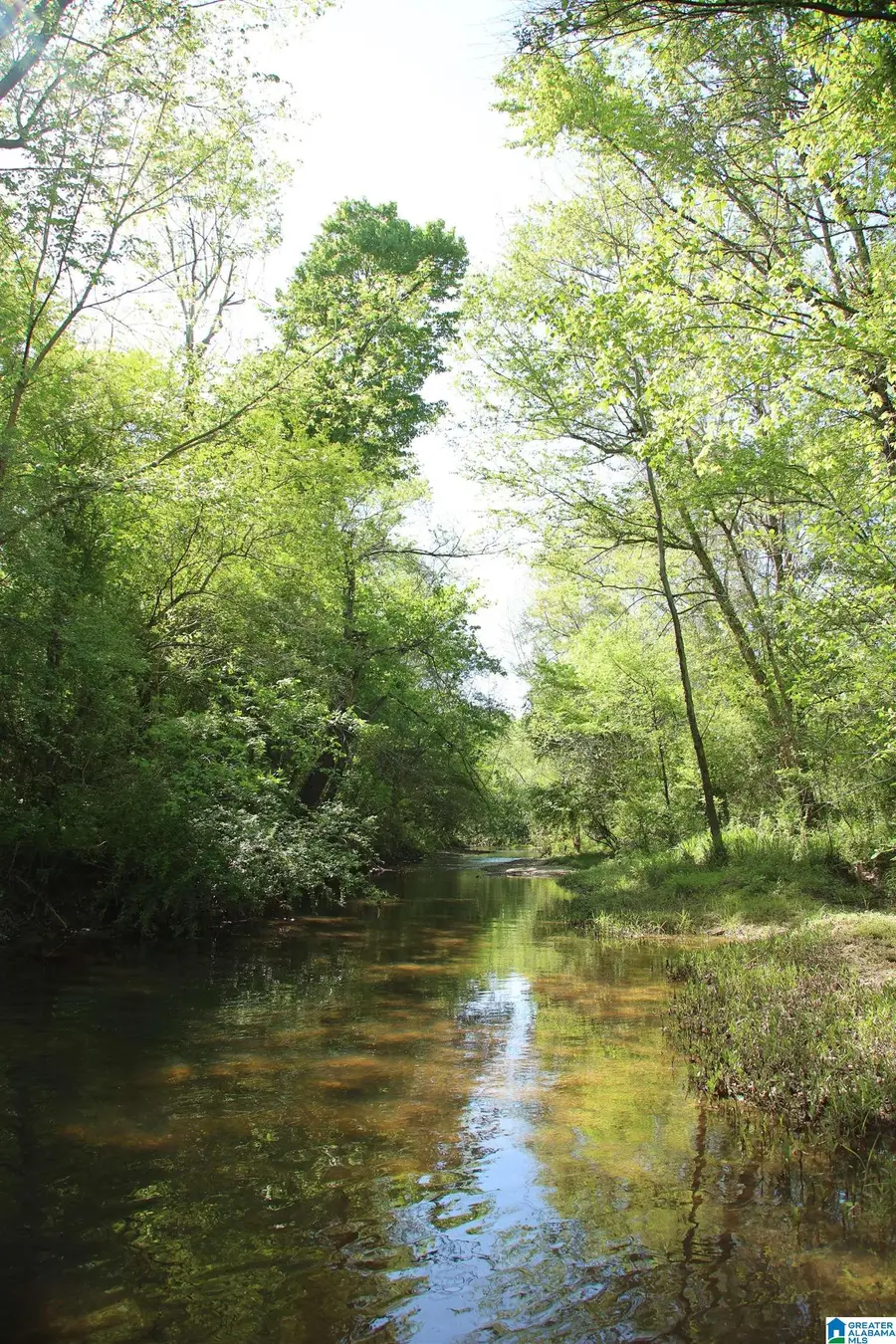4820 COUNTY ROAD 22, Ashville, AL 35953 - #3