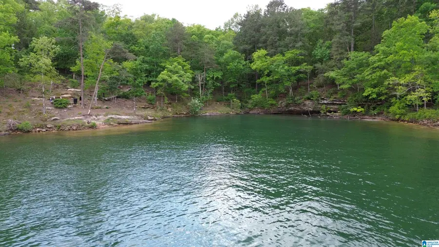 41 AMANDA'S WAY, Double Springs, AL 35553 - #3