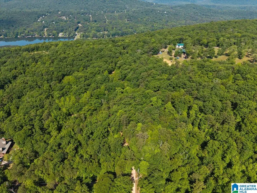 8924 PINE MOUNTAIN ROAD, Pinson, AL 35126 - #3