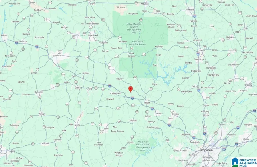 0 REDMILL SARAGOSSA ROAD, Nauvoo, AL 35578 - #2