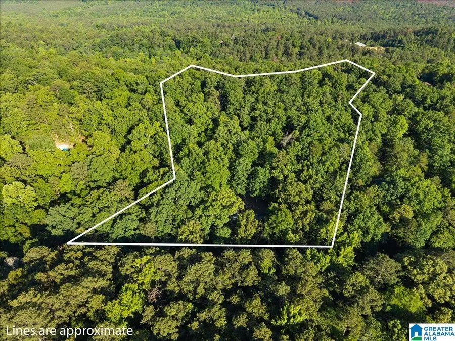 426 OAK RIDGE ROAD, Odenville, AL 35120 - #3