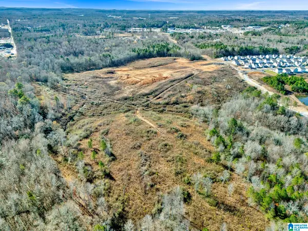 BLACKWELL DAIRY ROAD, Jasper, AL 35504