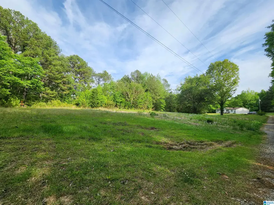 2213 MORRIS MAJESTIC ROAD, Morris, AL 35116 - #2