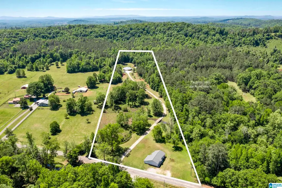 466 SEVEN SPRINGS ROAD, Wellington, AL 36279 - #2