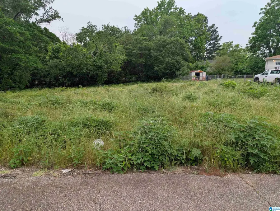 4427 CARVER AVENUE SW, Birmingham, AL 35221 - #2