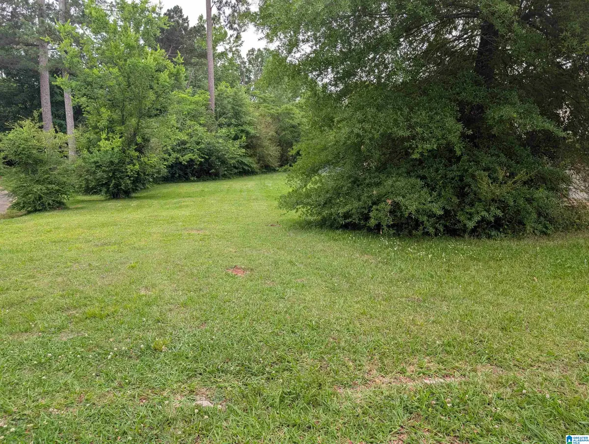 438 ELM STREET SW, Bessemer, AL 35022 - #1
