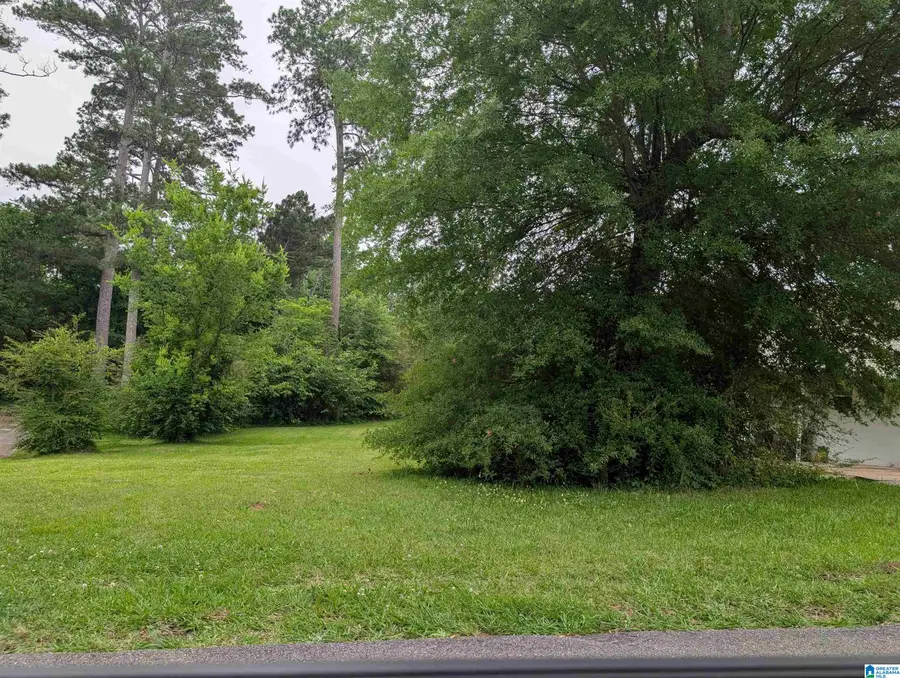 438 ELM STREET SW, Bessemer, AL 35022 - #3