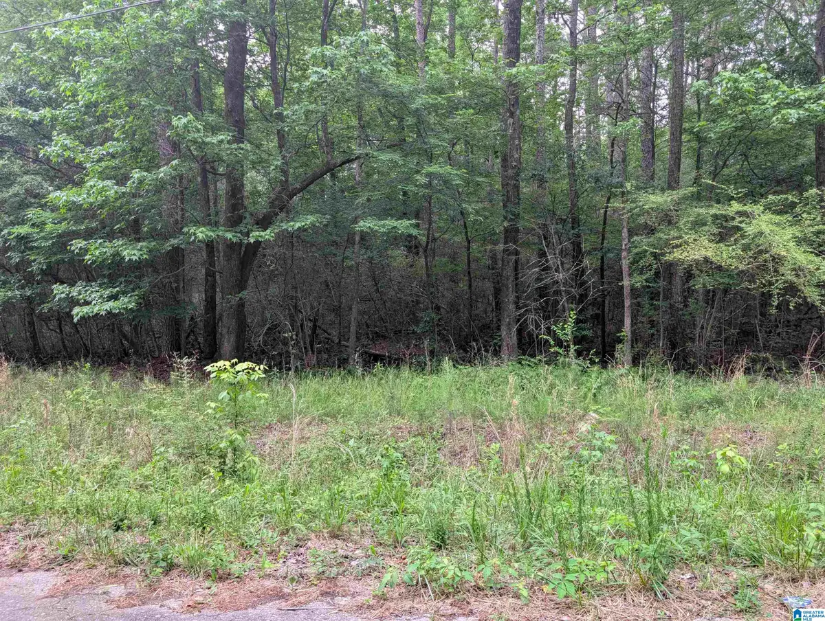 2920 STREETER DRIVE, Bessemer, AL 35023 - #1