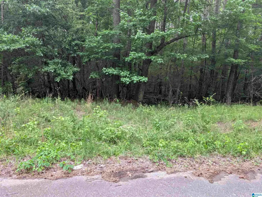 2920 STREETER DRIVE, Bessemer, AL 35023 - #2