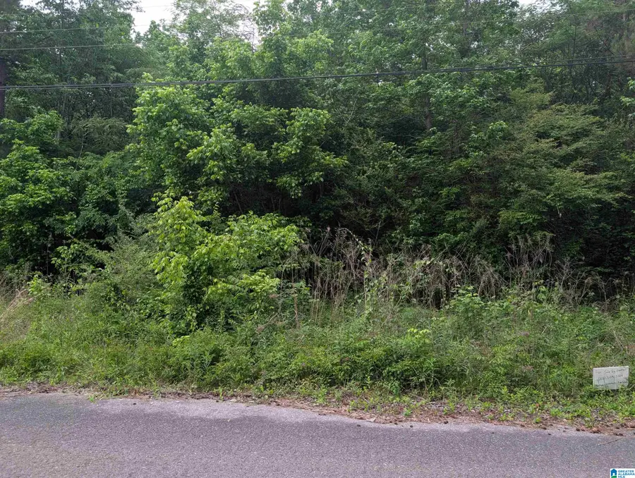 2920 STREETER DRIVE, Bessemer, AL 35023 - #3