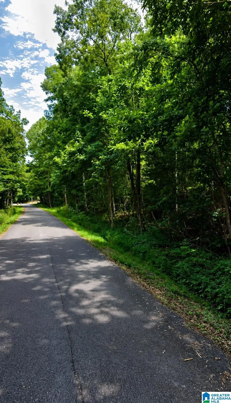 HICKORY HILL ROAD, Rainbow City, AL 35906 - #1