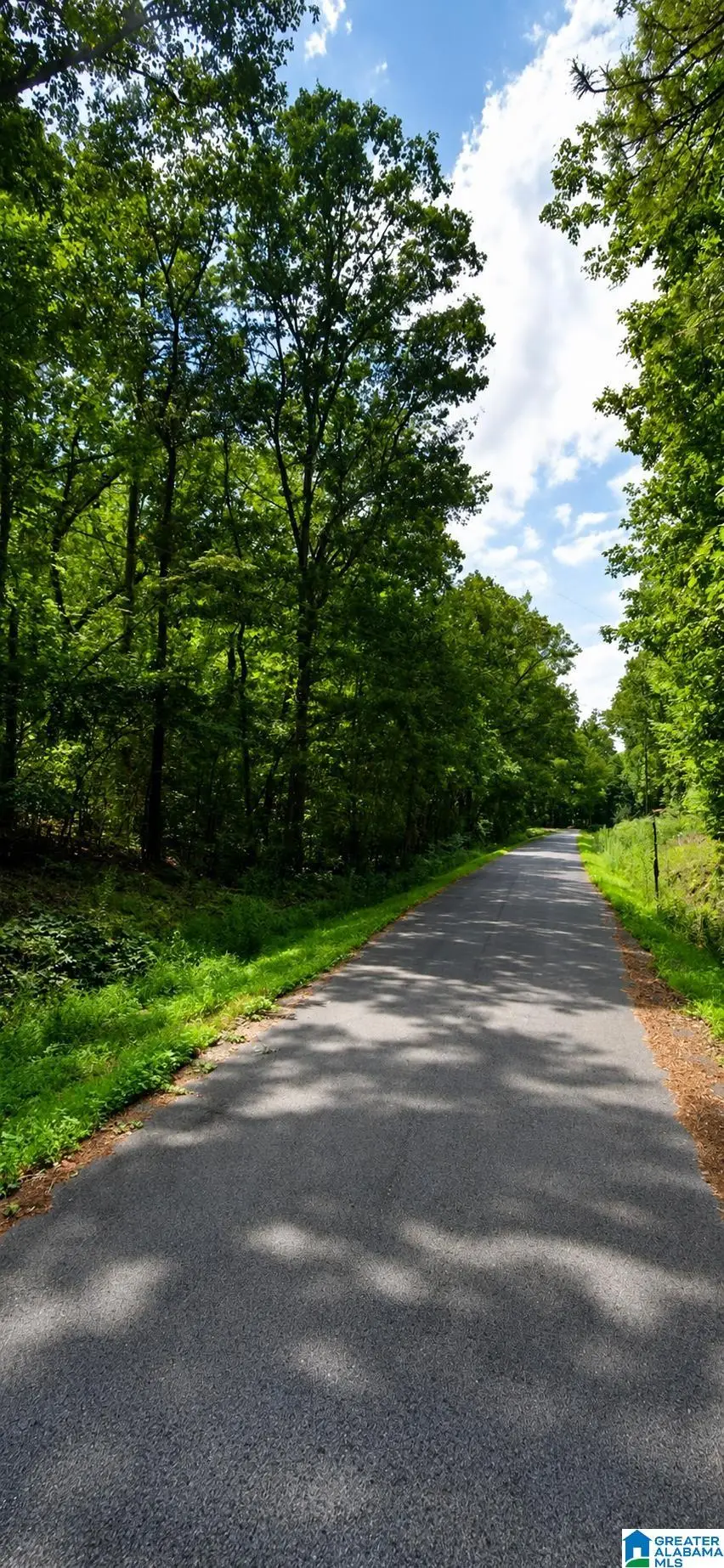 HICKORY HILL ROAD, Rainbow City, AL 35906 - #3