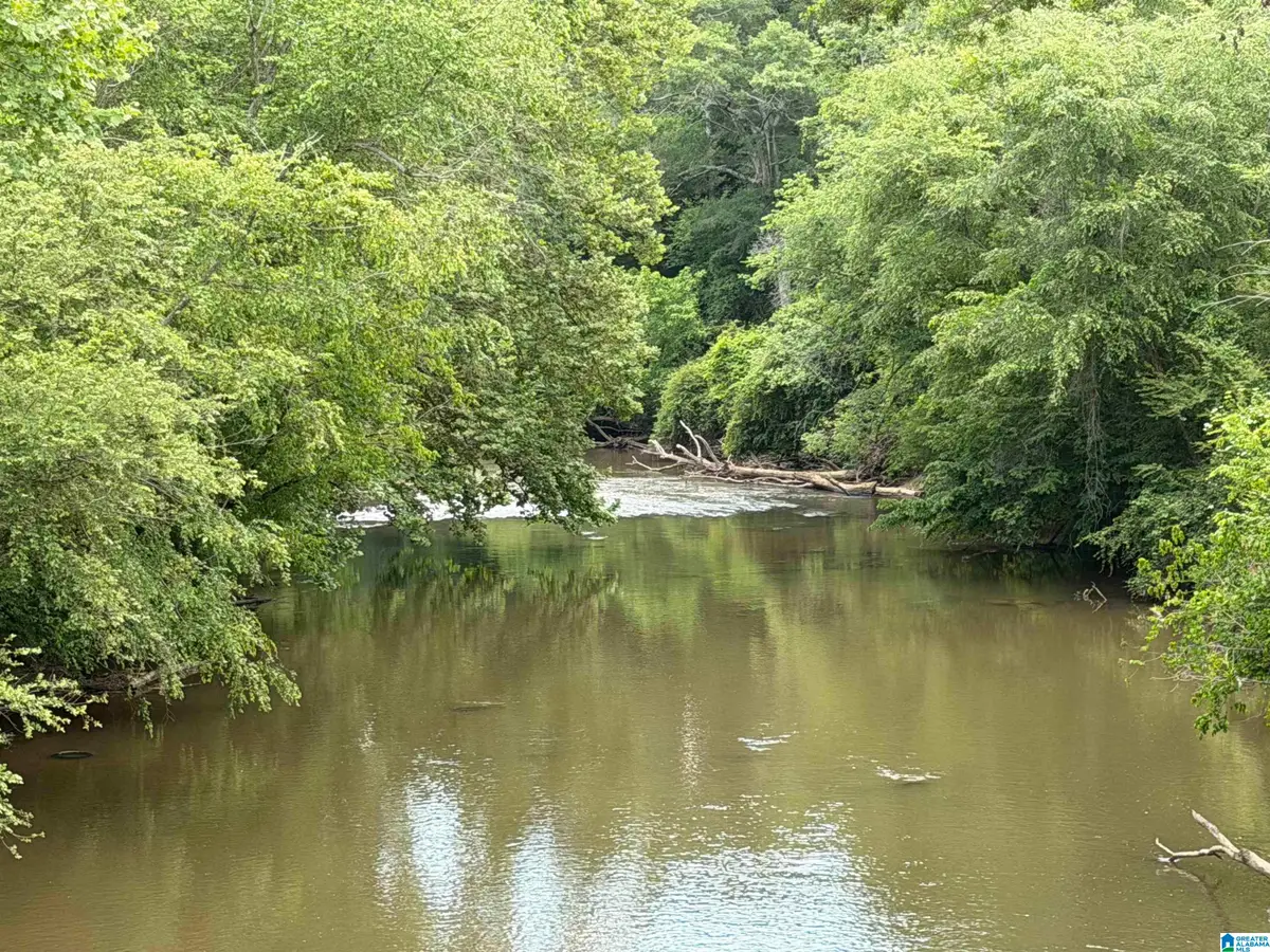 0 COUNTY ROAD 509, Woodland, AL 36280 - #1