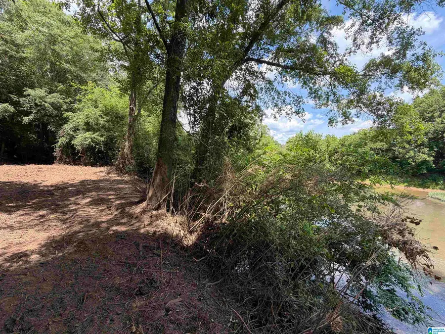 0 COUNTY ROAD 509, Woodland, AL 36280 - #3