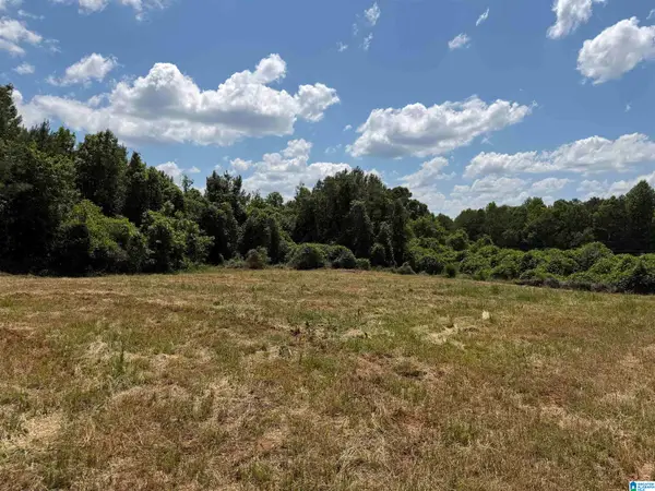 0 COUNTY ROAD 87, Roanoke, AL 36274