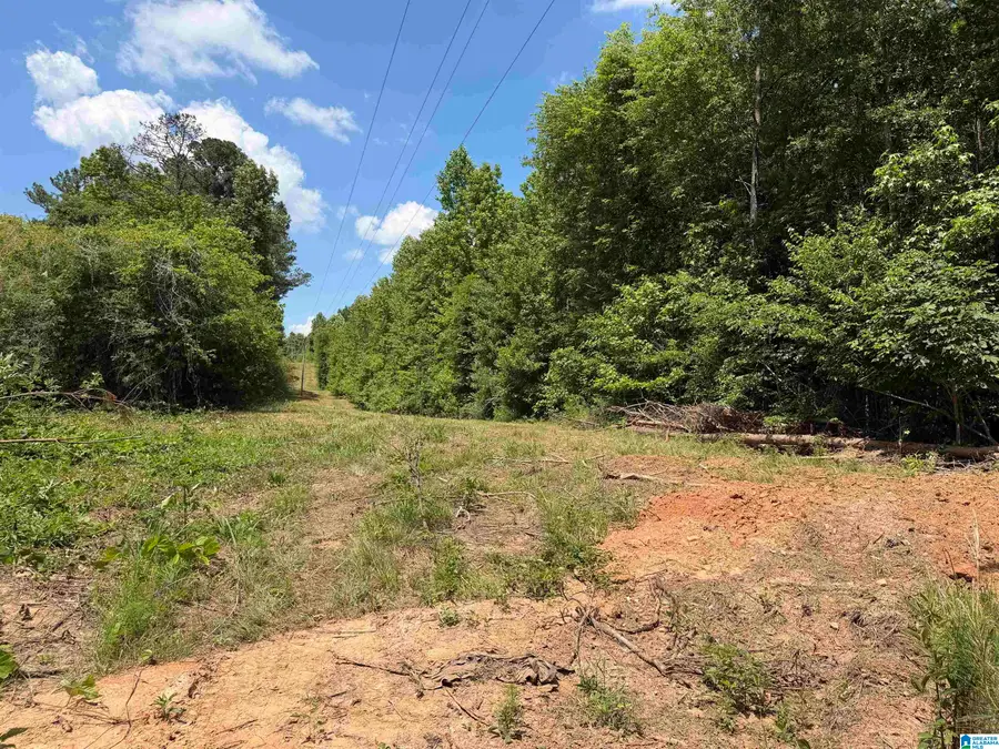 0 COUNTY ROAD 87, Roanoke, AL 36274 - #2