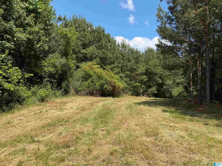 0 COUNTY ROAD 87, Roanoke, AL 36274 - #3
