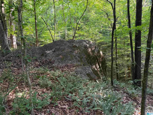 0 COUNTY ROAD 87, Roanoke, AL 36274