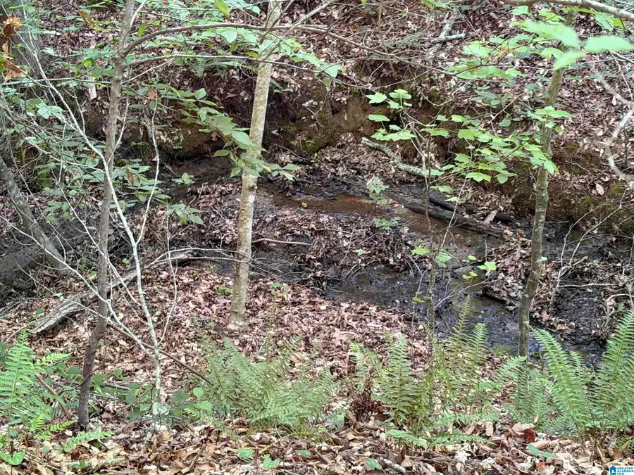 0 COUNTY ROAD 87, Roanoke, AL 36274 - #3