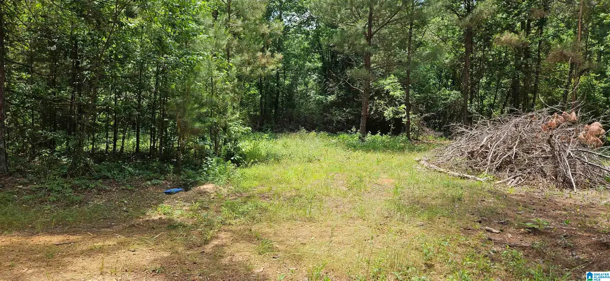 2304 CO ROAD, Maplesville, AL 36750 - #1