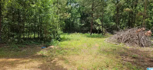 2304 CO ROAD, Maplesville, AL 36750