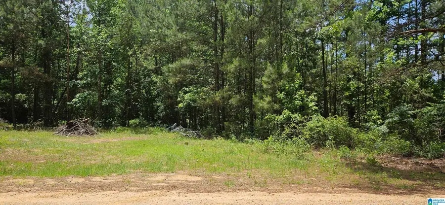 2304 CO ROAD, Maplesville, AL 36750 - #2