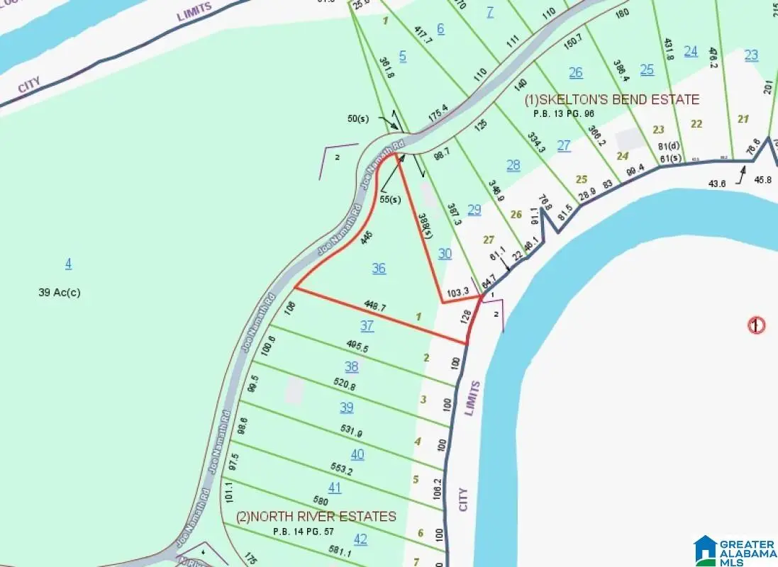 11306 JOE NAMATH ROAD, Northport, AL 35475 - #1