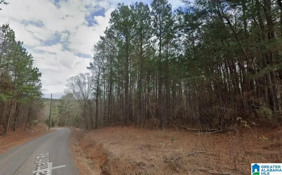 11306 JOE NAMATH ROAD, Northport, AL 35475 - #2
