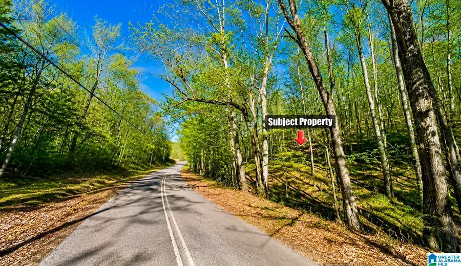 0 HOBSON CITY ROAD, Oxford, AL 36203 - #2