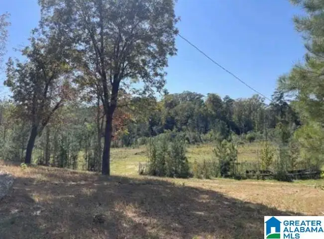 HILL CREEK DRIVE, West Blocton, AL 35184 - #1