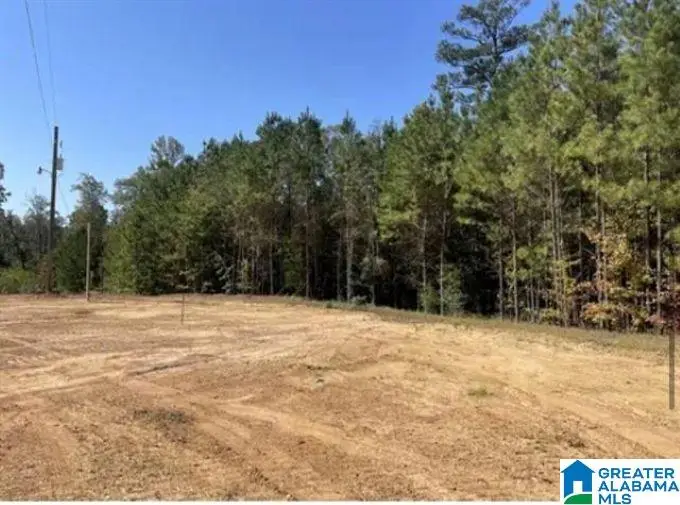 HILL CREEK DRIVE, West Blocton, AL 35184 - #2