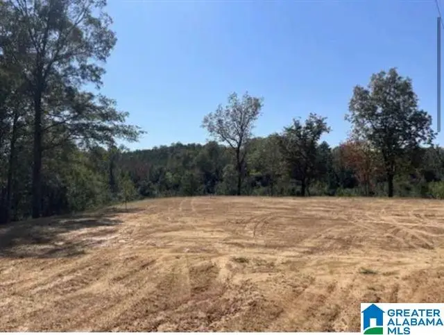 HILL CREEK DRIVE, West Blocton, AL 35184 - #3