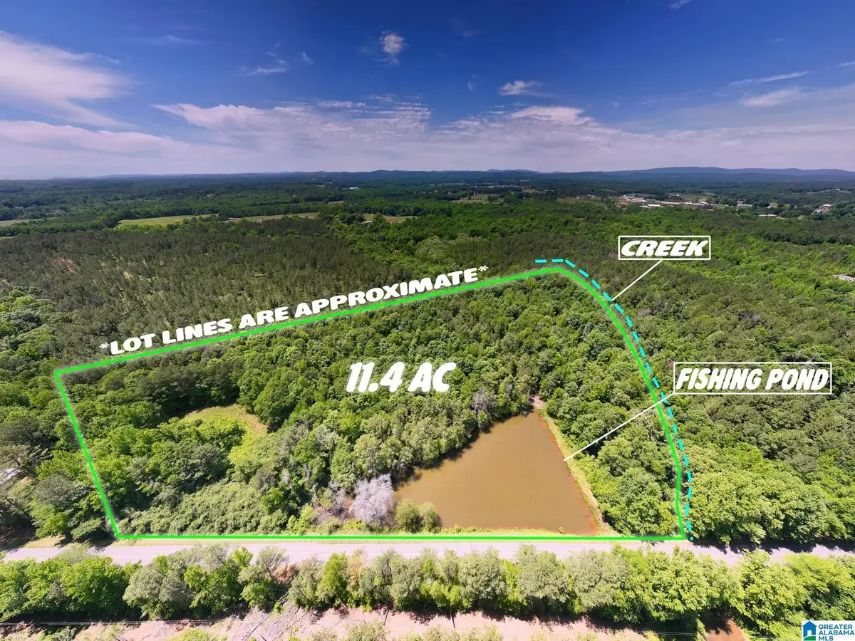1 OLD MILL ROAD, Ashland, AL 36251 - #1