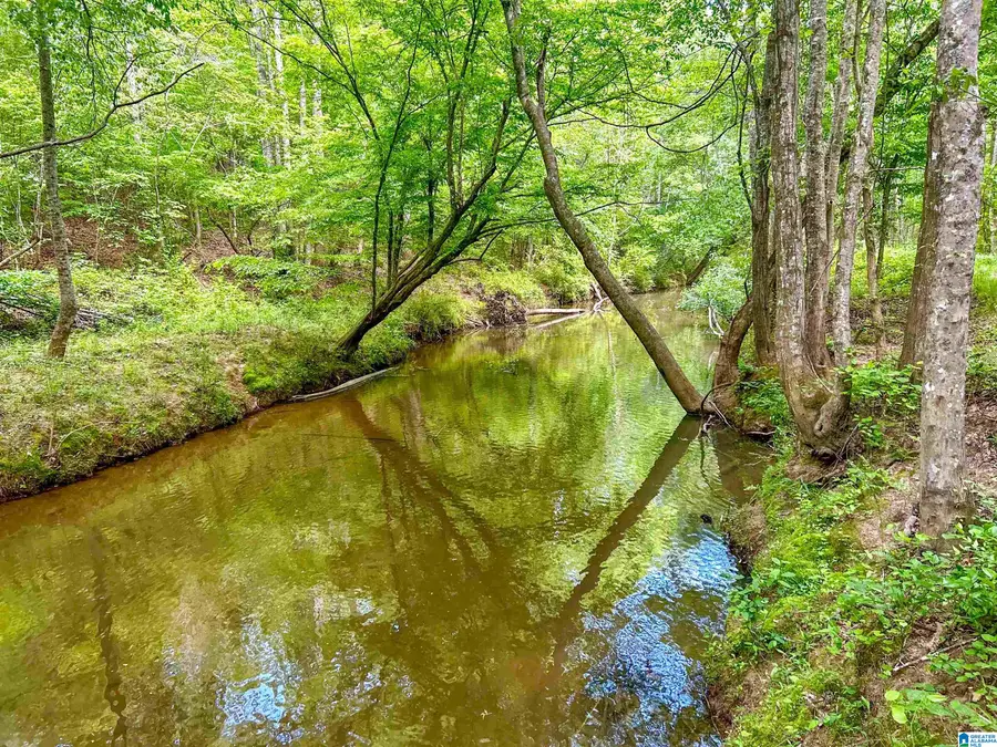 1 OLD MILL ROAD, Ashland, AL 36251 - #2