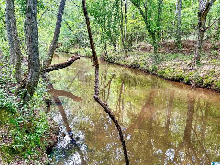 1 OLD MILL ROAD, Ashland, AL 36251 - #3
