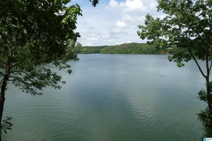 45 COUNTY ROAD 2402, Wedowee, AL 36278 - #2
