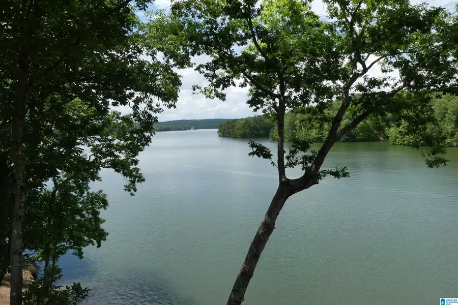 45 COUNTY ROAD 2402, Wedowee, AL 36278 - #3